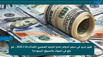 تغير جديد في سعر الدولار أمام الجنيه المصري الثلاثاء 22-7-2025.. كم بلغ في البنوك والسوق السوداء؟